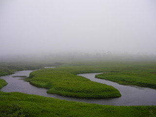 SANY0078