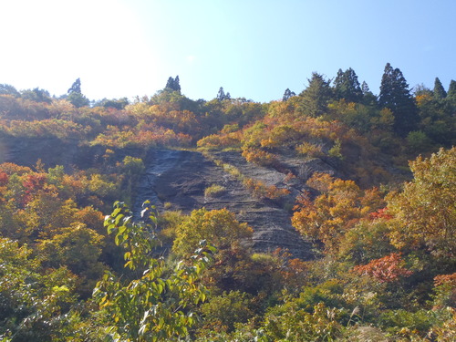 PA270011
