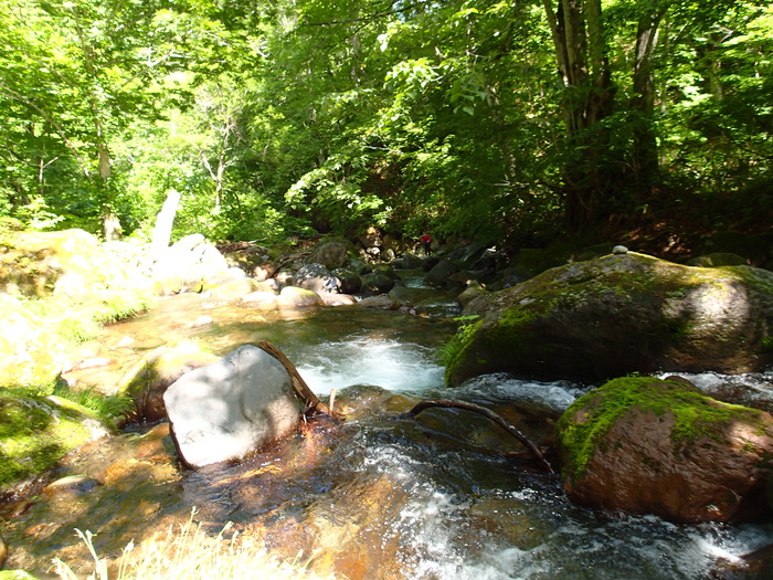 P6241041