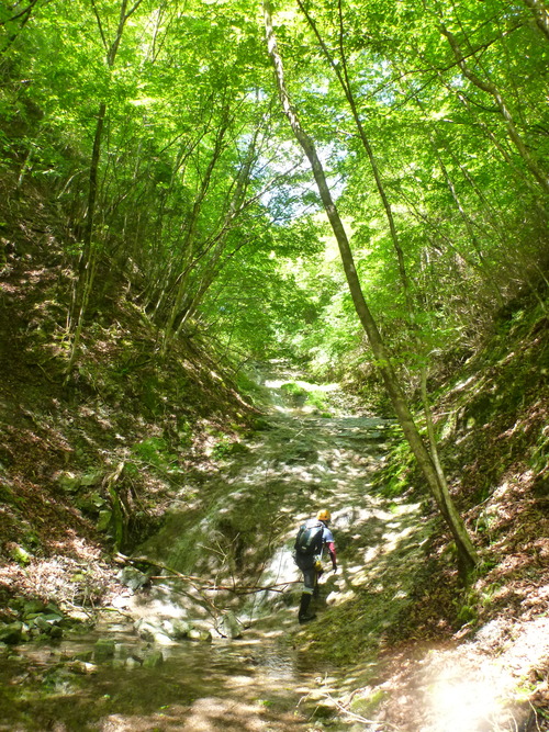 P1070661