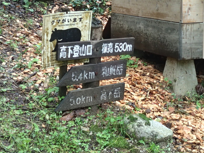 P7133295