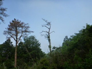 P1010862_R