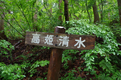 IMGP0672