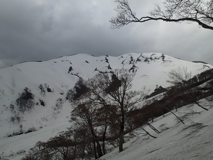 P5050688