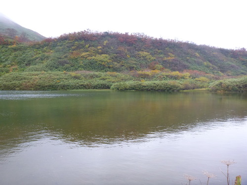 P1000542