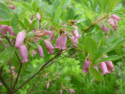 P1010329