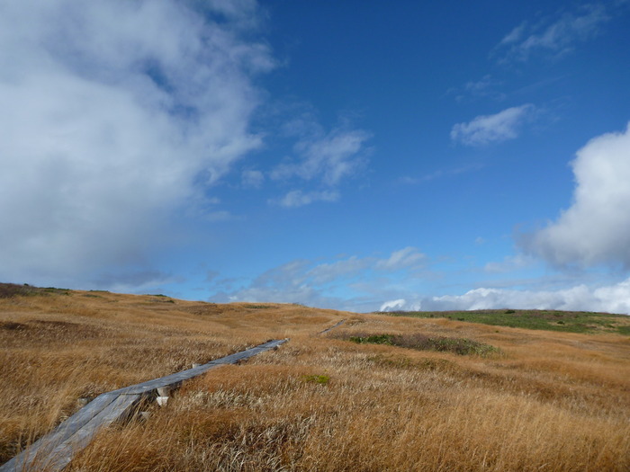P1050920