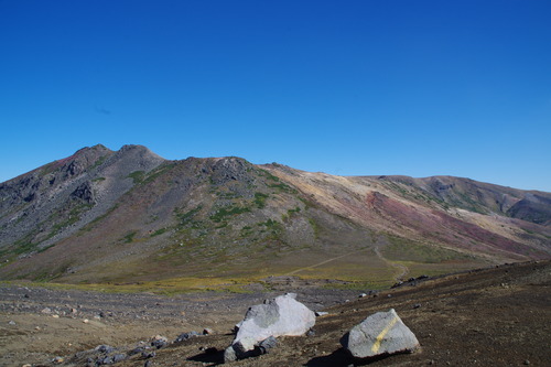 IMGP3890