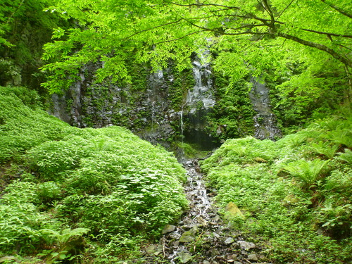 P1090054