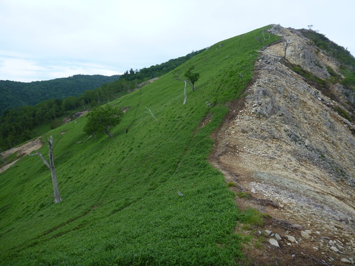 P1040419