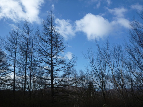 P1040025