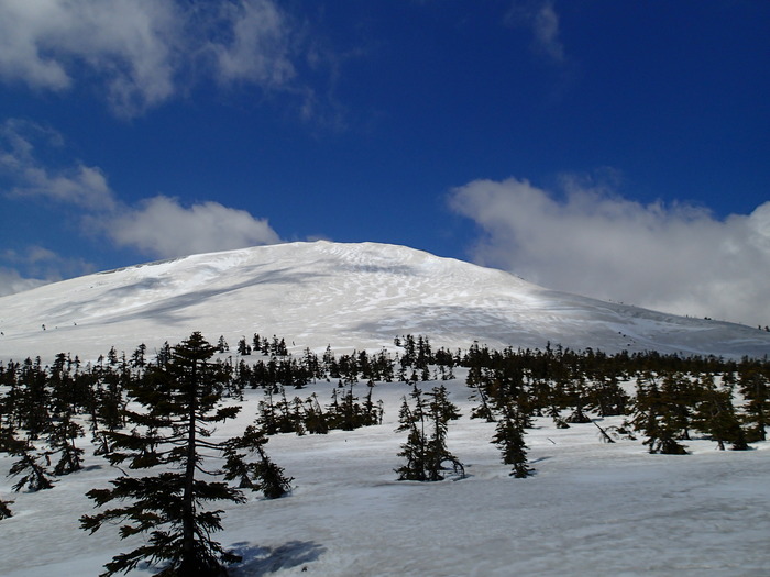 P5032950