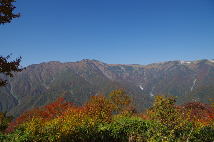 IMGP1474