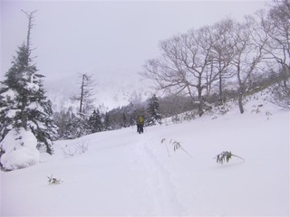 SANY0147_R