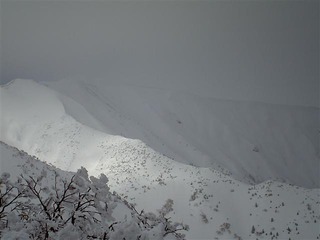 110129_113348_import_R