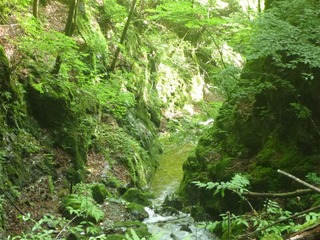 P1000477_R