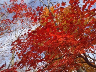 PB050057_R