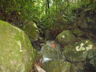 P1010864_R