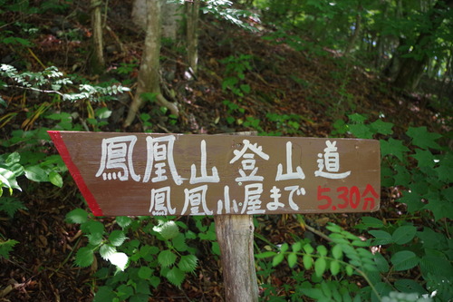 IMGP2253