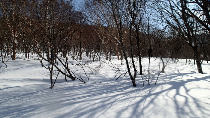 P2100082