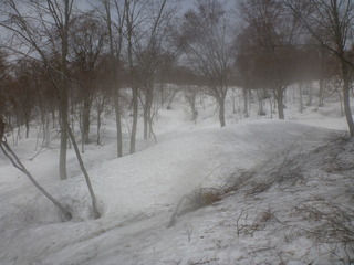 110502_104748_import