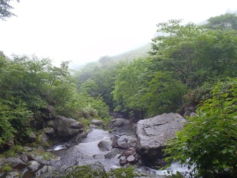 P7220019_R