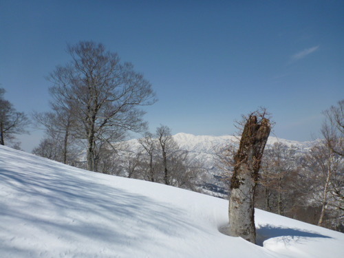 P1050849
