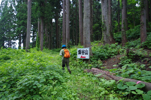 IMGP0701