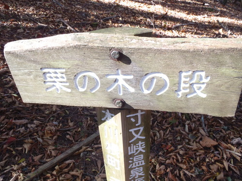 PB100017