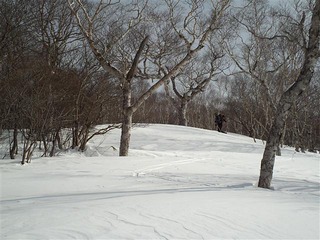 110205_101442_import_R