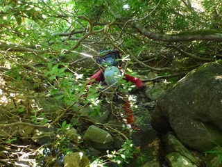 P1020099_R