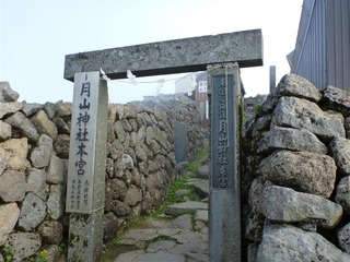 P1000446_R