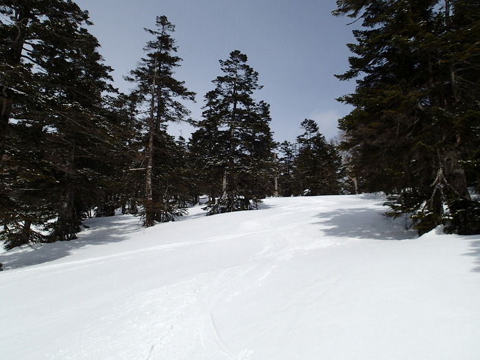 P3232635