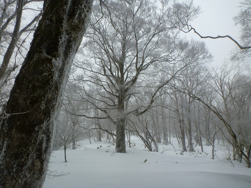 P1030169