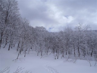 110305_094938_import_R