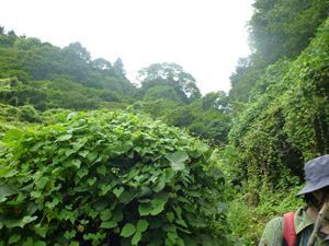 P1000529_R