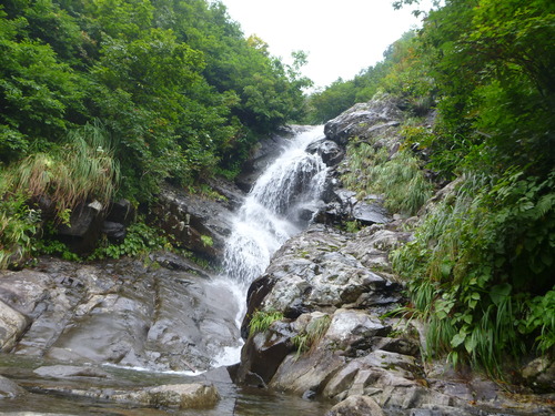 P1000355
