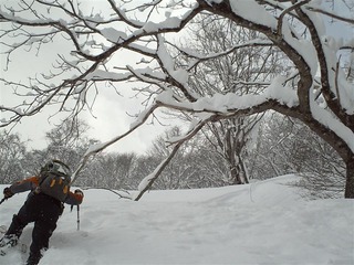 110213_084332_import_R