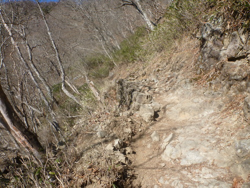 P1080791