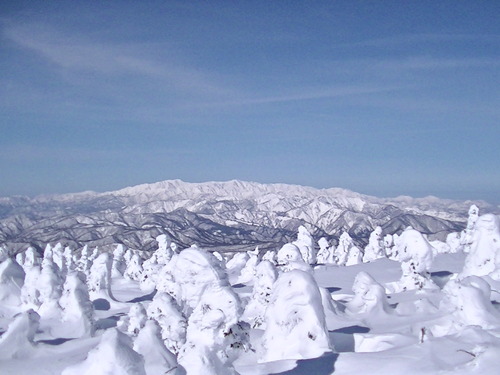 PIC_0001