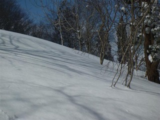 P1010569_R