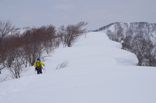 IMGP5469