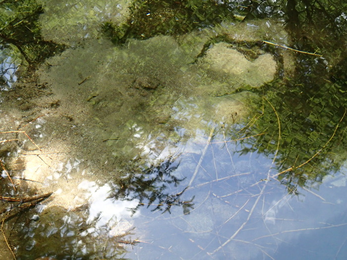 P7273349