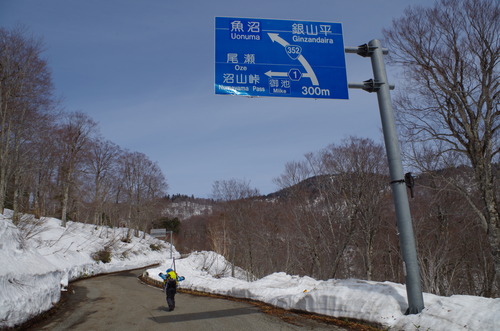 IMGP2997