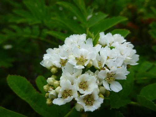 P1020837
