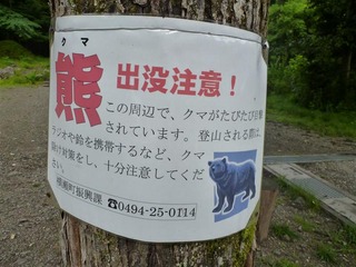 P1000467_R