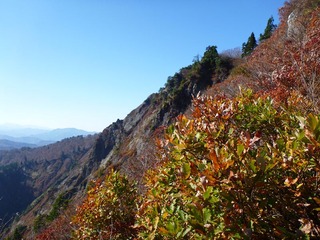P1010147_R