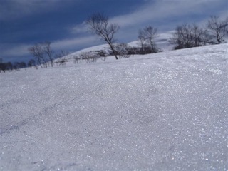 P4150095_R