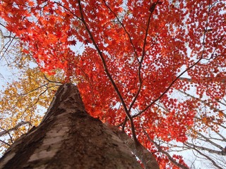 PB050079_R