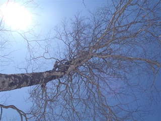P4210012_R